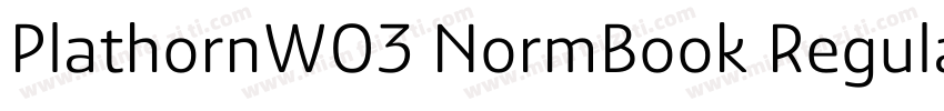 PlathornW03 NormBook Regular字体转换